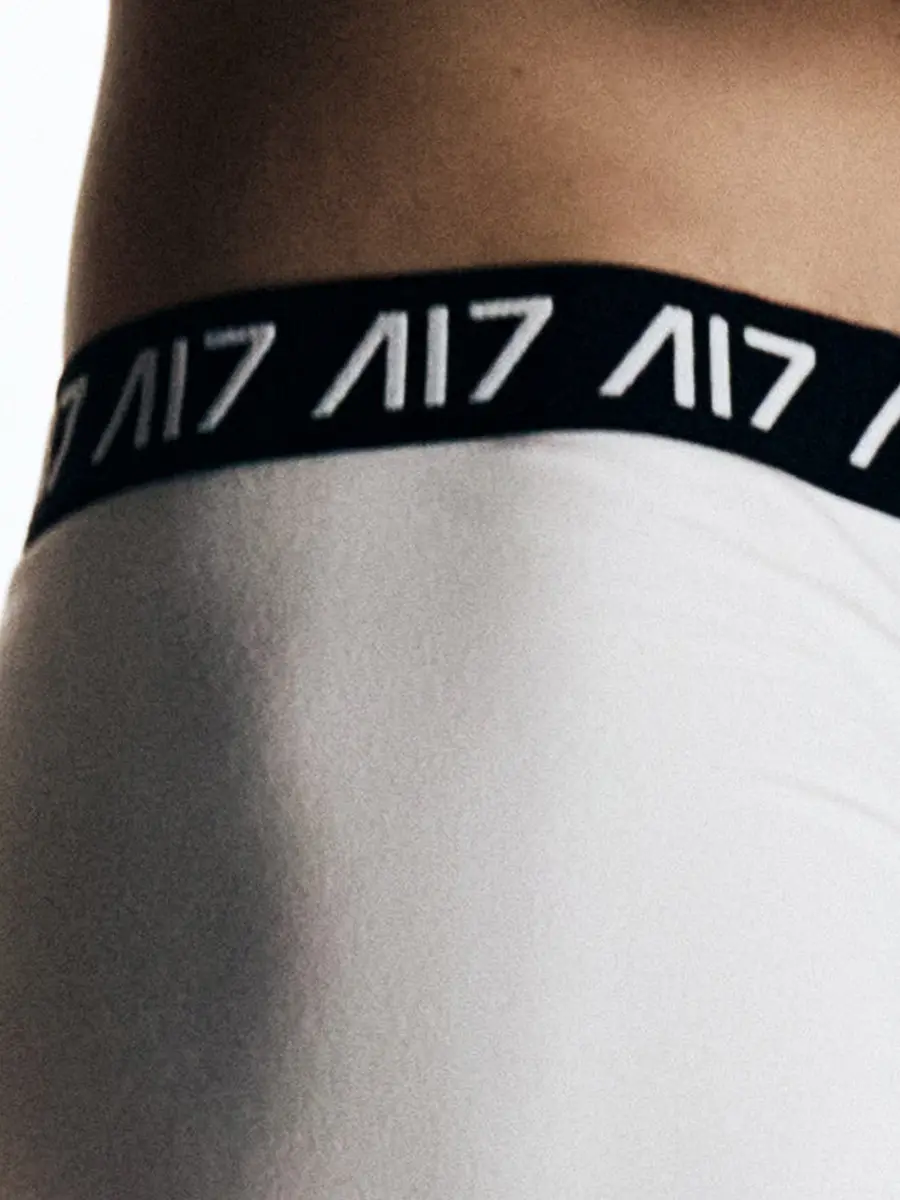 Набор из двух хлопковых трусов-боксеров