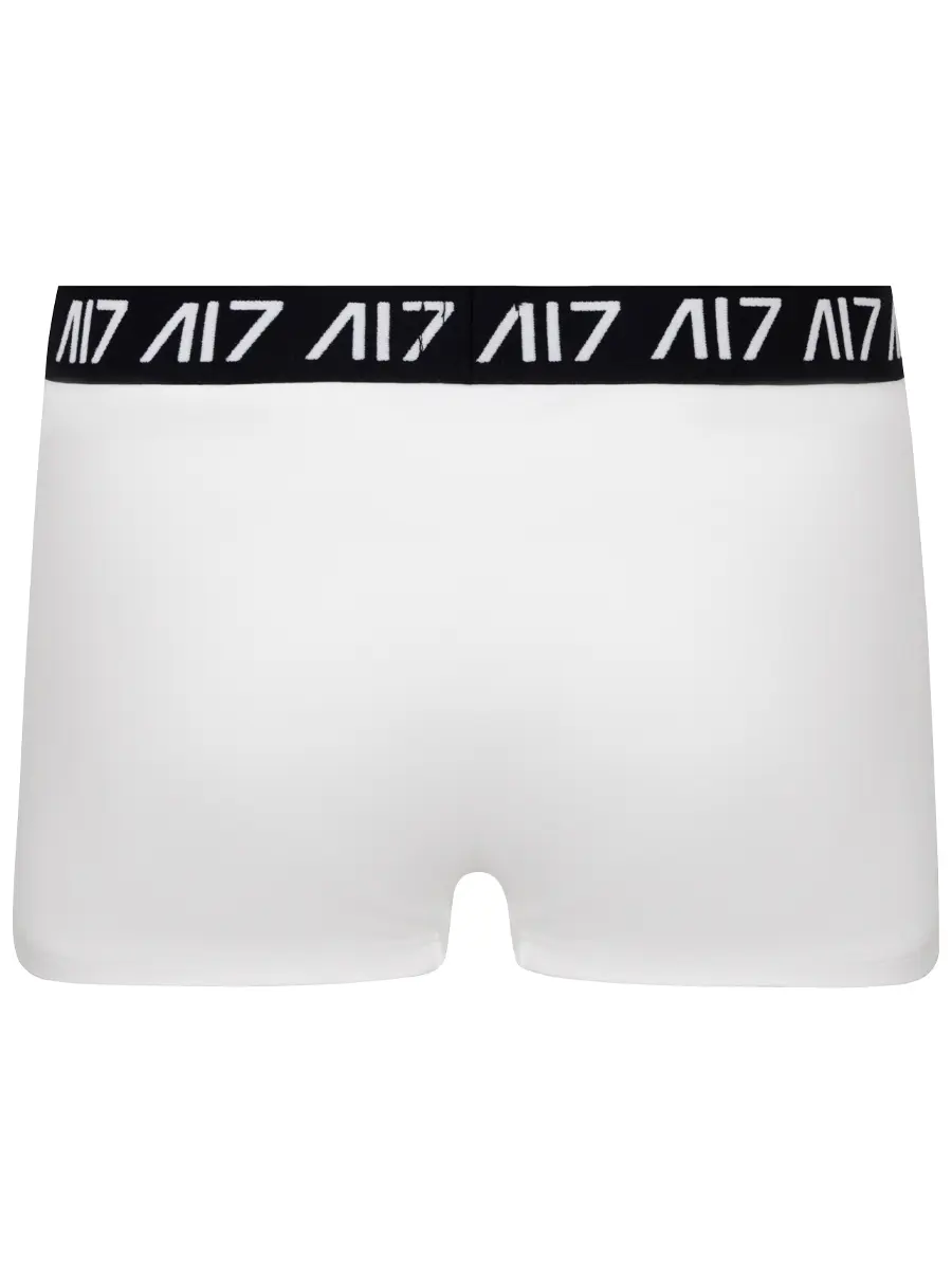 Набор из двух хлопковых трусов-боксеров