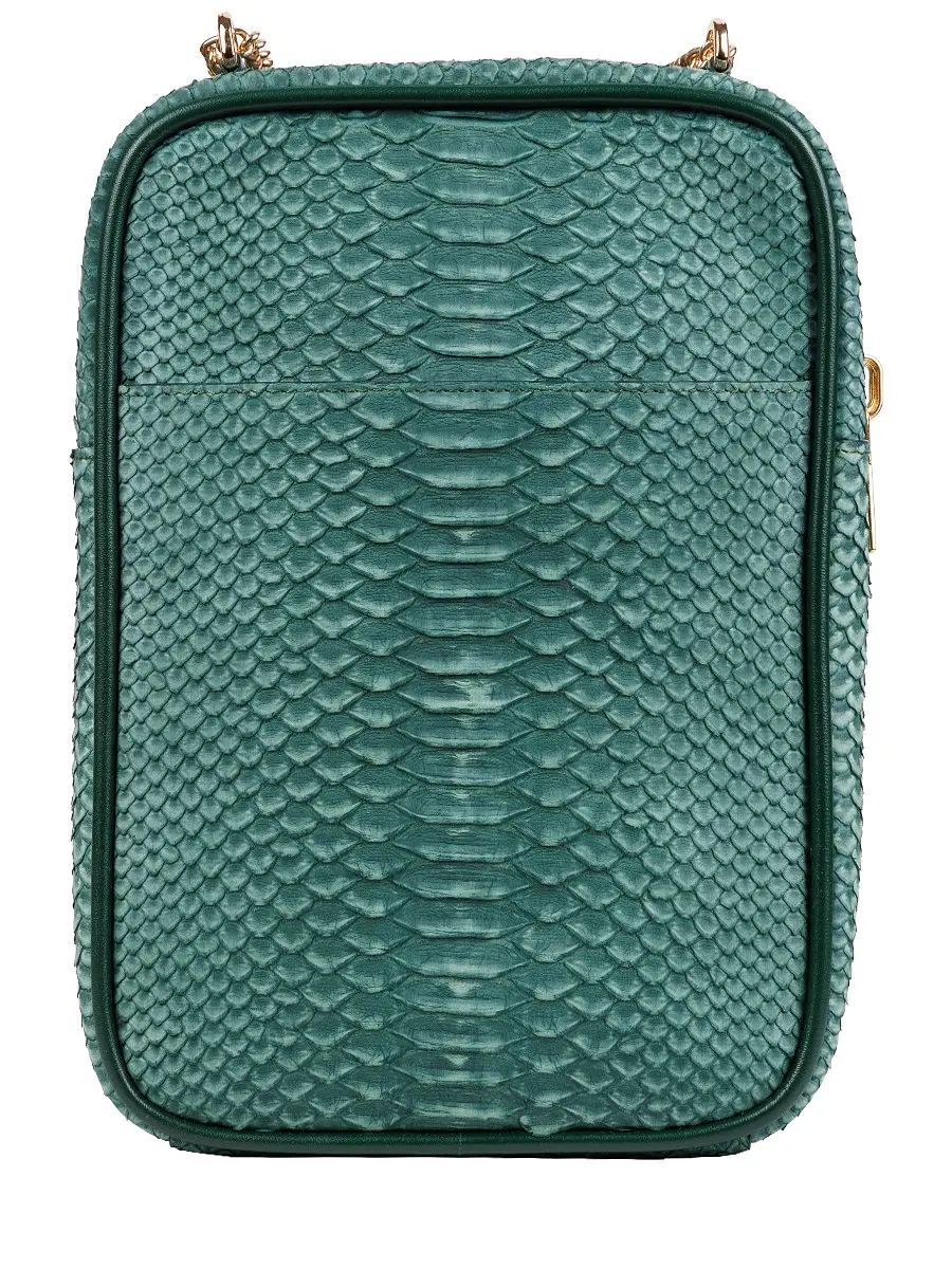 Сумка из кожи питона