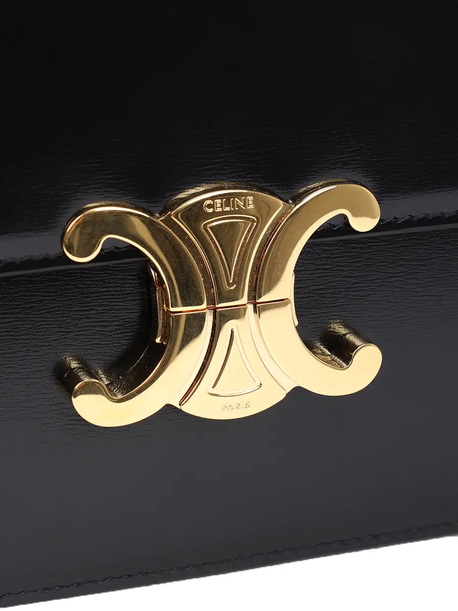 Сумка кожаная Triomphe