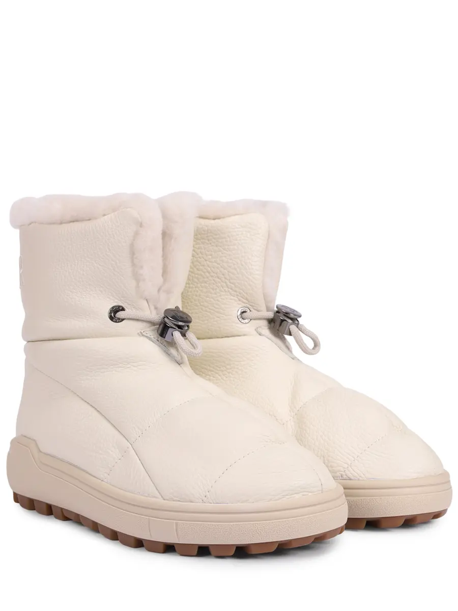 Луноходы на меху Chamonix