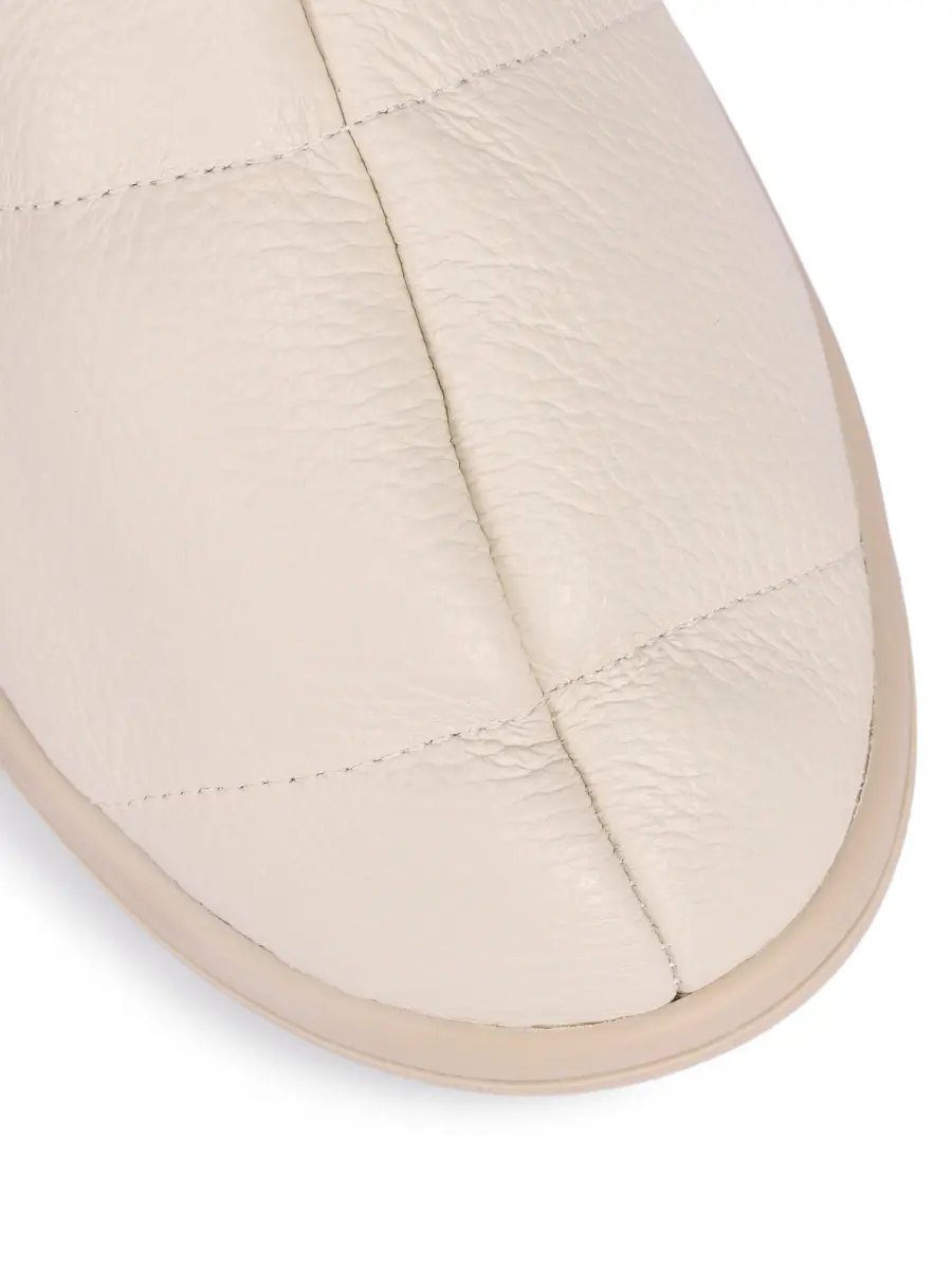 Луноходы на меху Chamonix