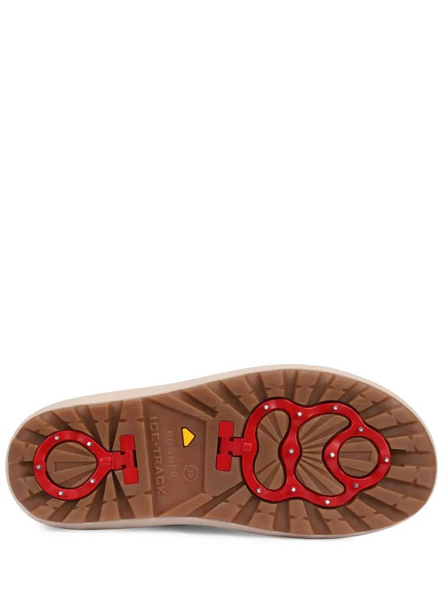 Луноходы на меху Chamonix