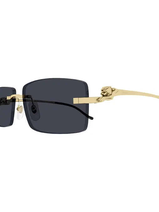 Очки солнцезащитные CARTIER