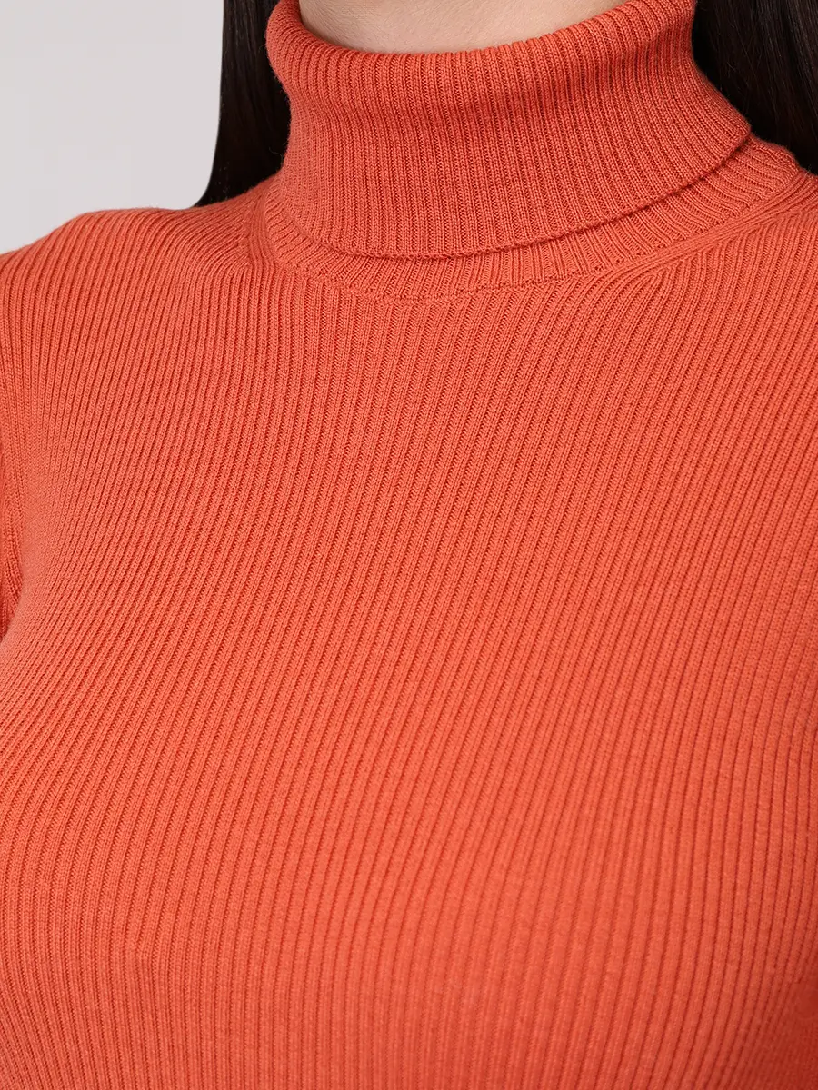 Водолазка шерстяная