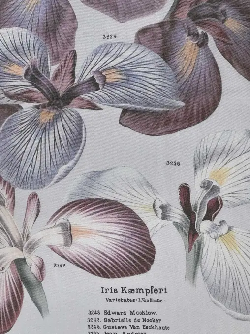 Платок кашемировый COLOMBO