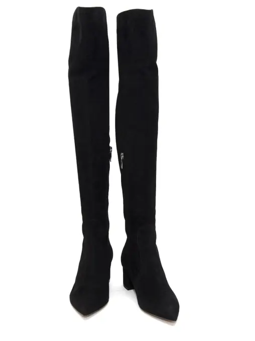 Ботфорты замшевые GIANVITO ROSSI