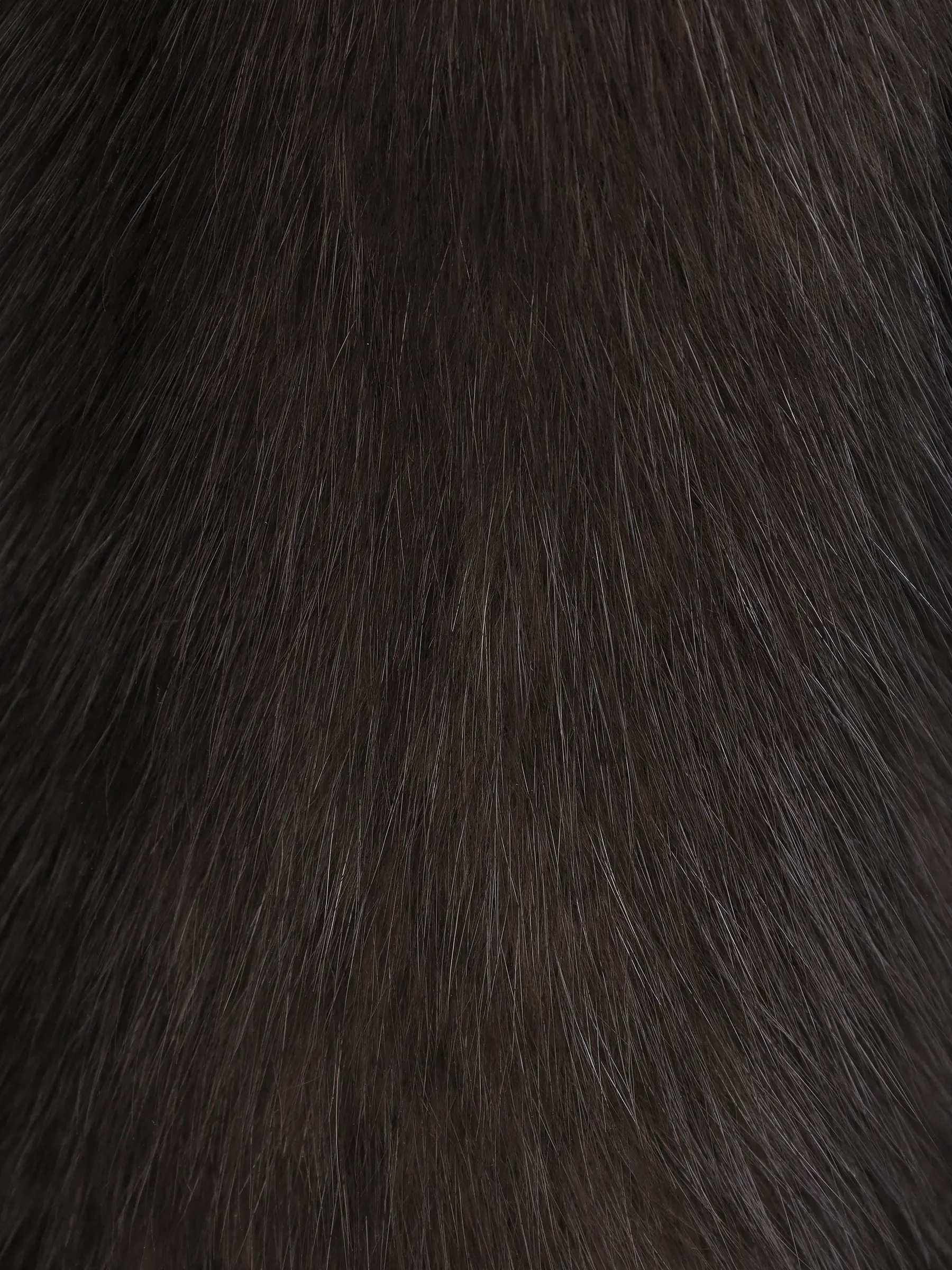 Шуба соболиная