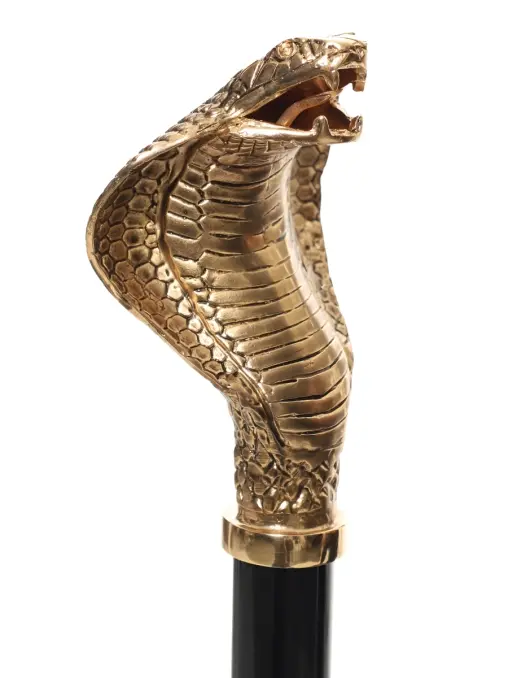 Рожок для обуви Golden Cobra PASOTTI