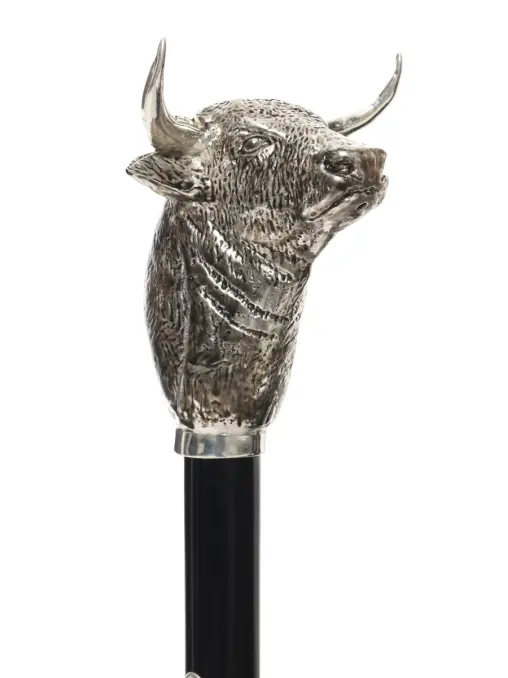 Рожок для обуви PASOTTI