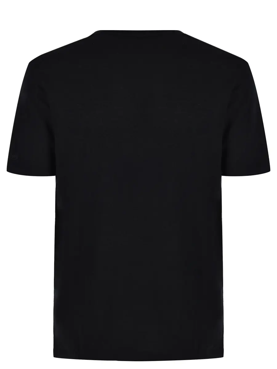 Футболка из шерсти