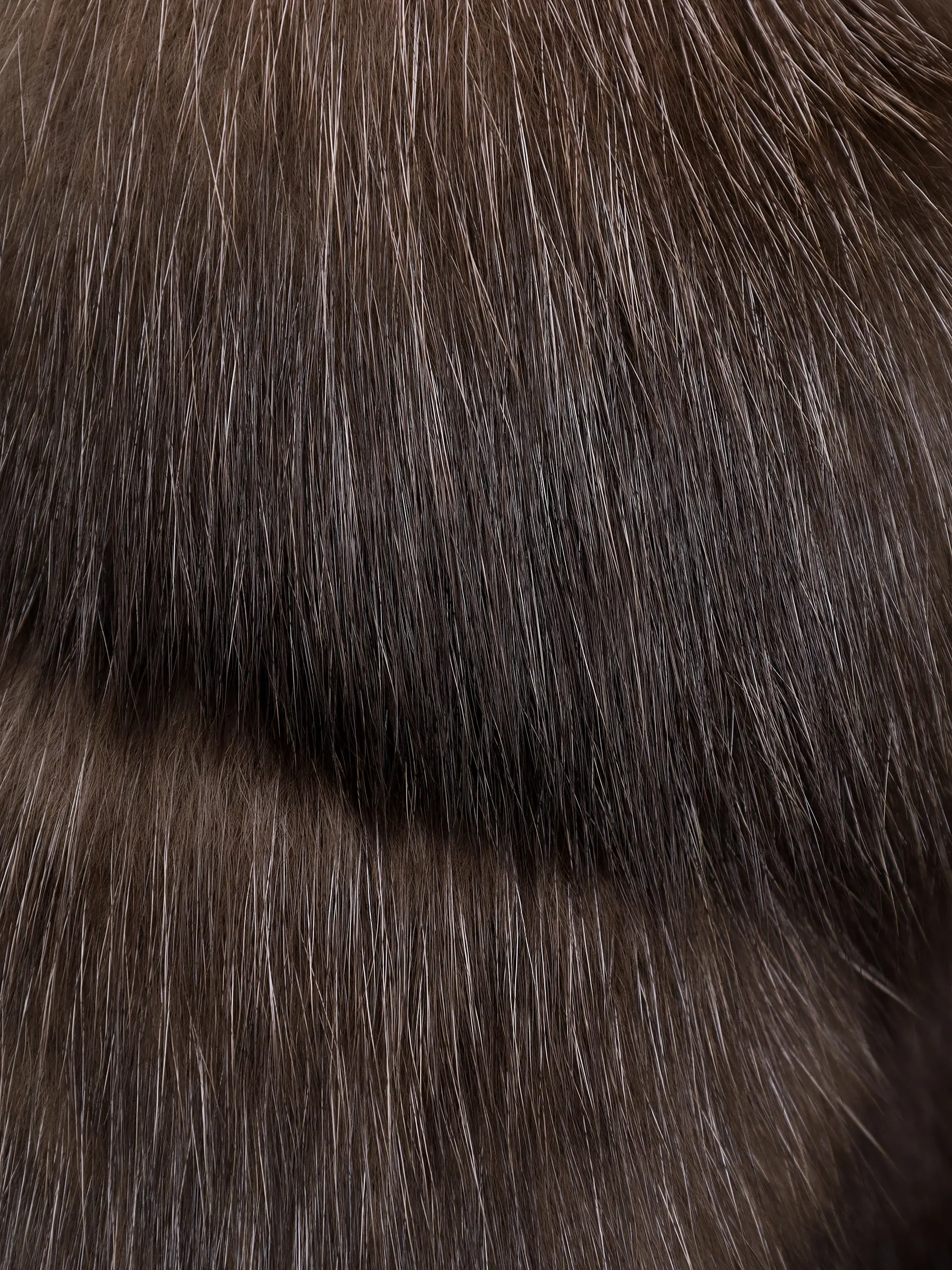 Шуба соболиная