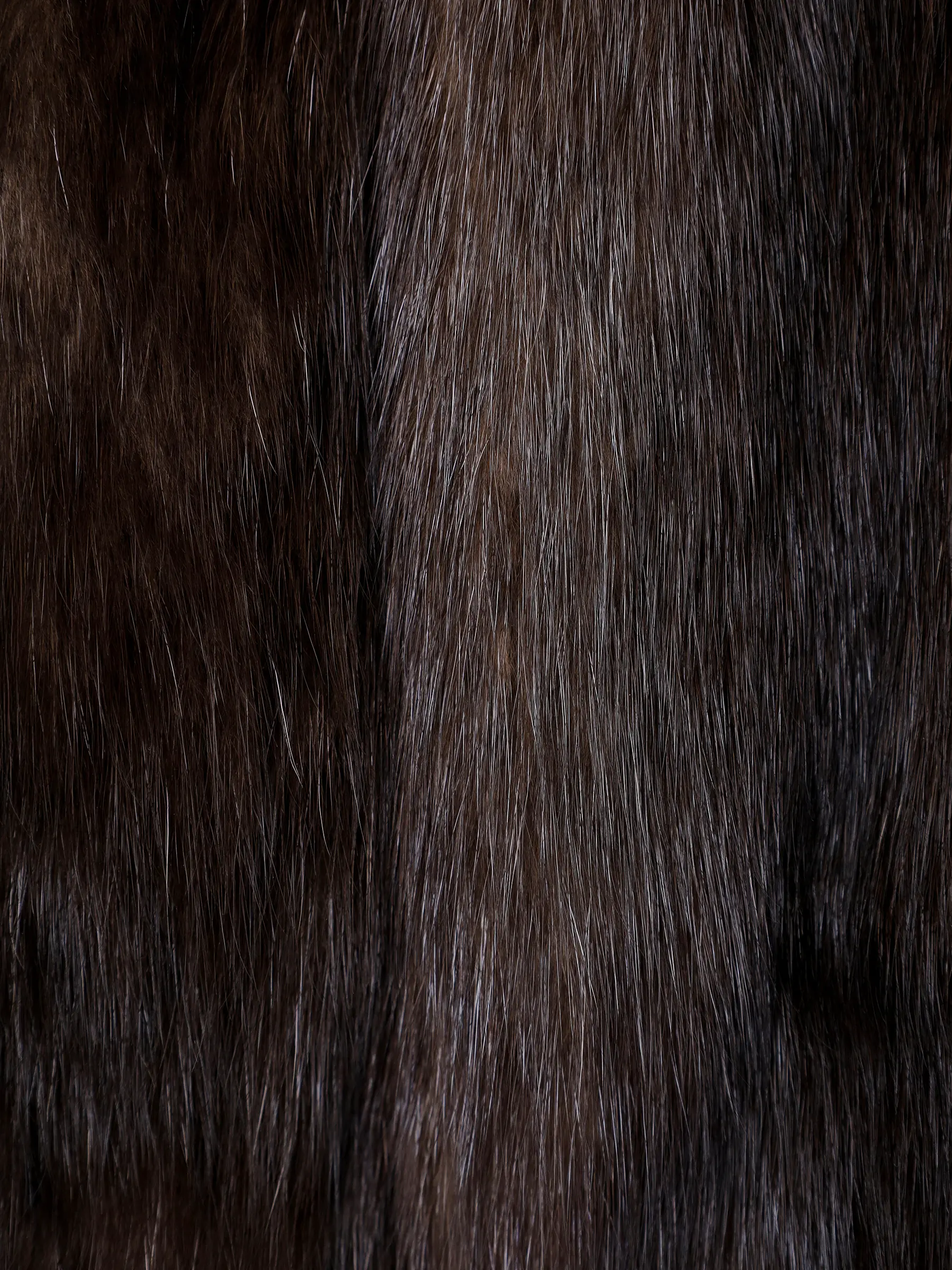 Шуба соболиная