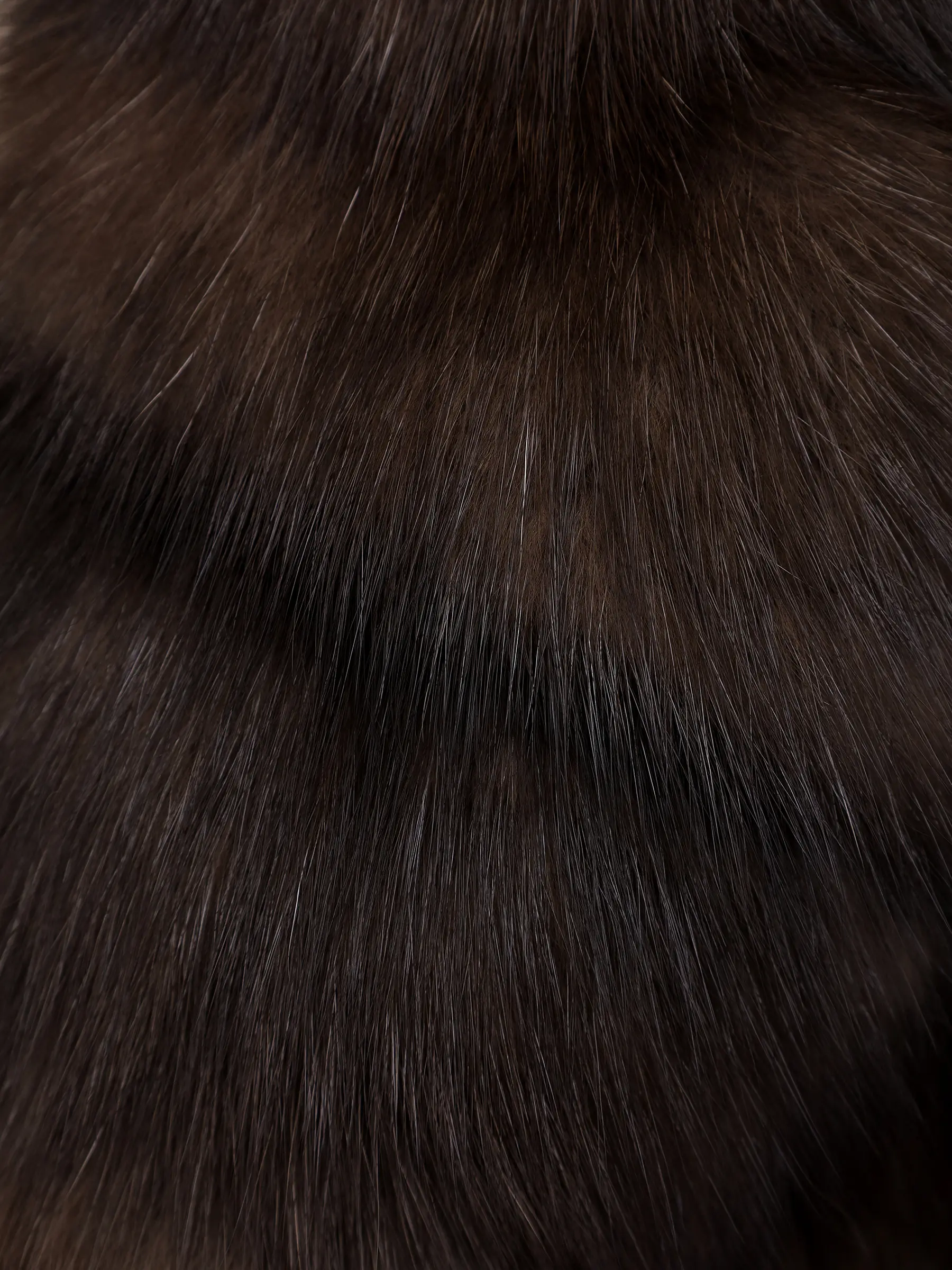 Шуба соболиная