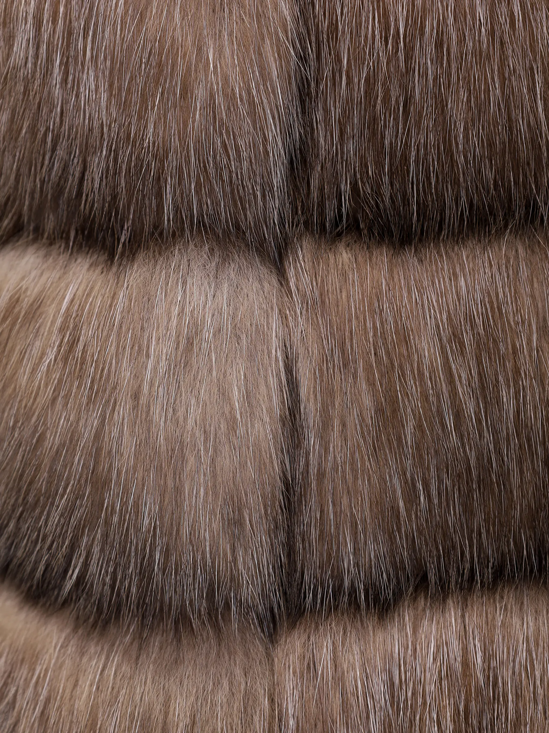 Шуба соболиная