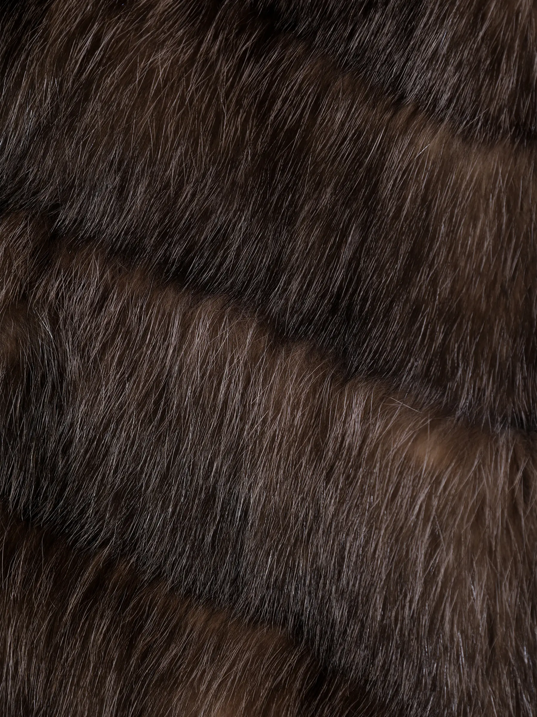 Шуба соболиная