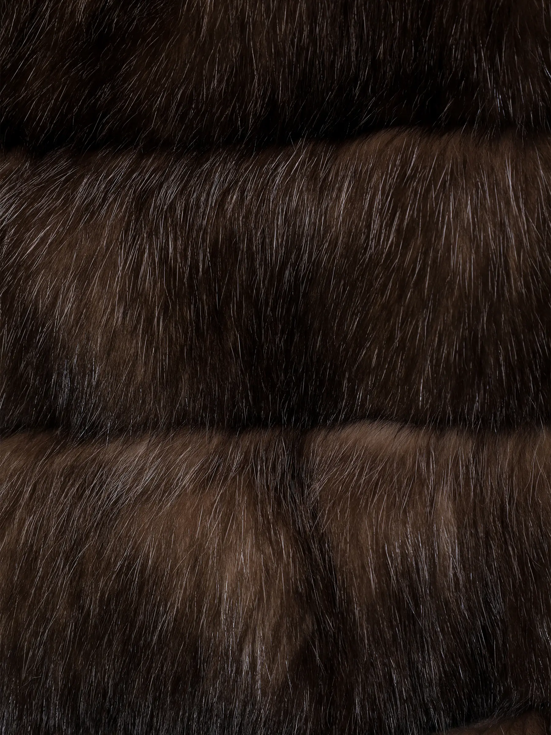 Шуба соболиная