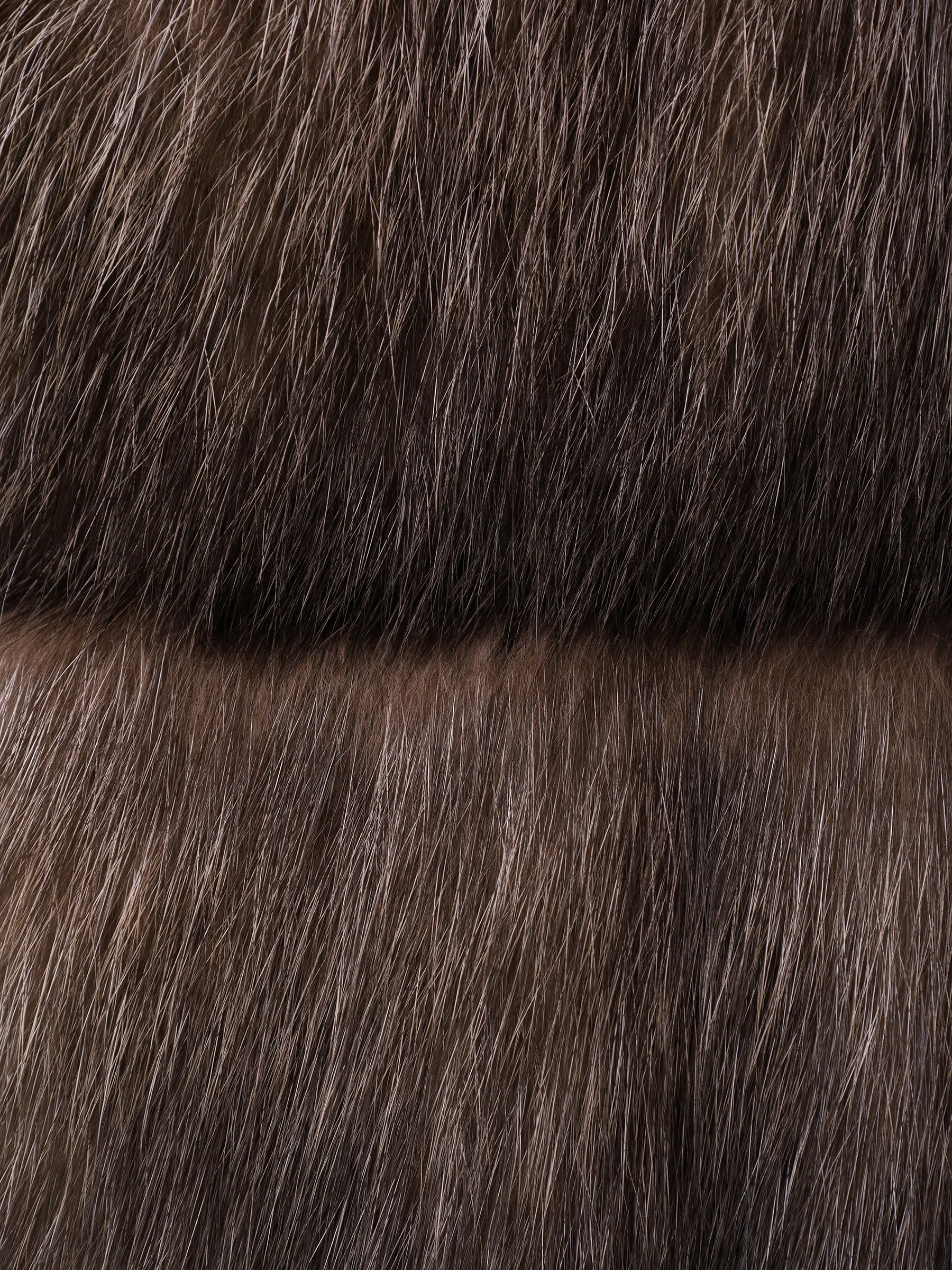 Шуба соболиная