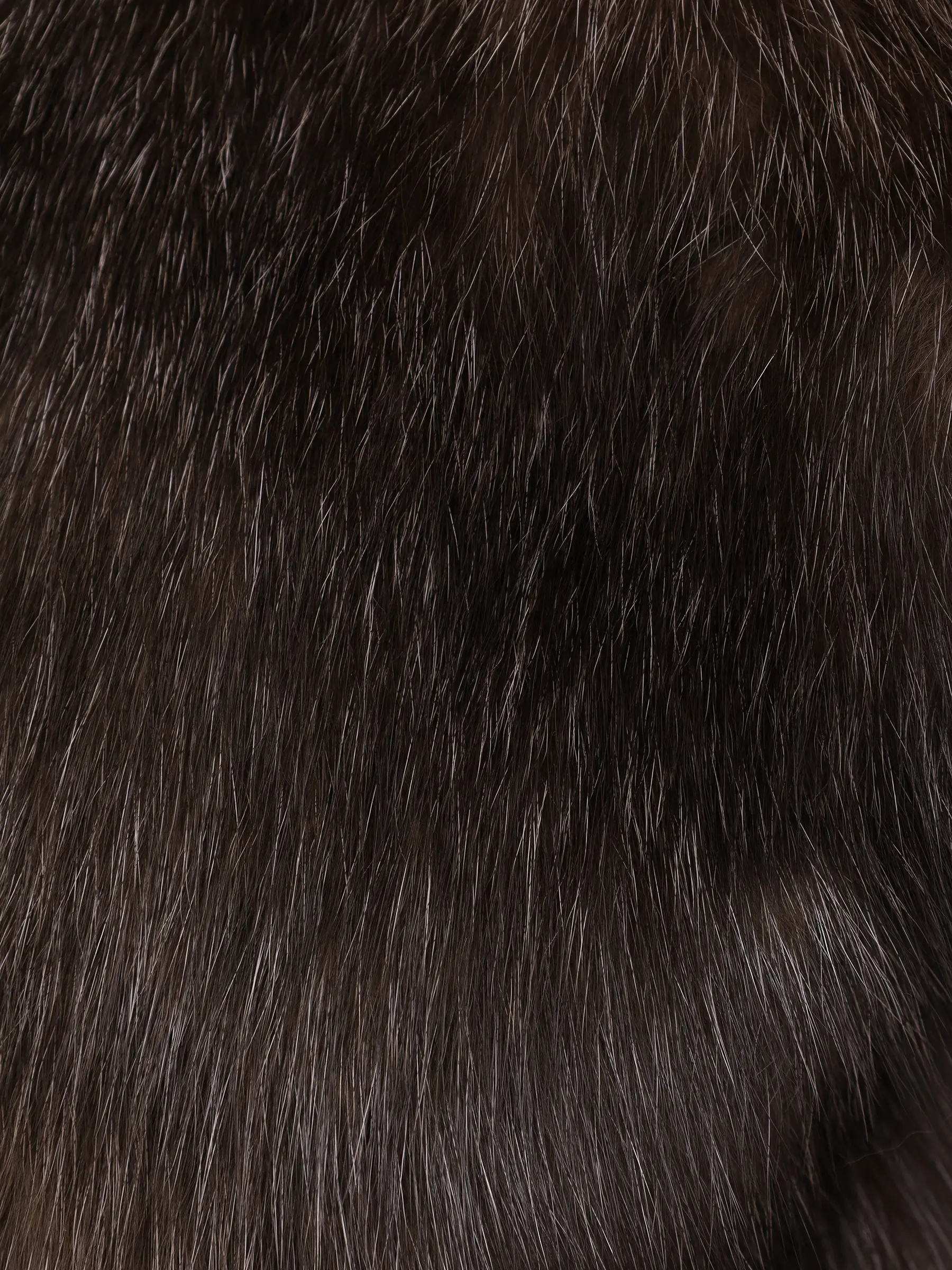 Шуба соболиная