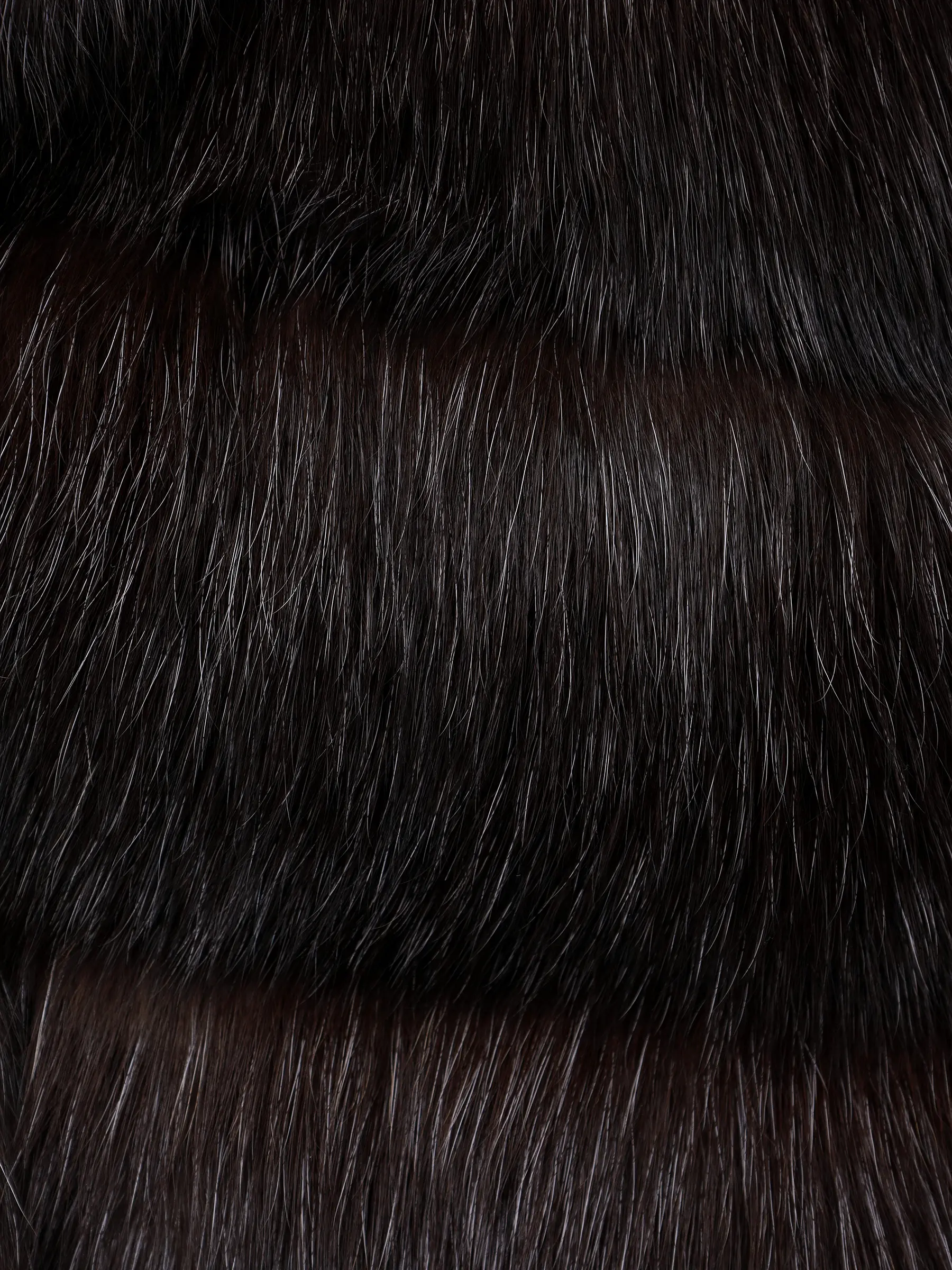 Шуба соболиная