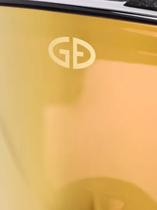 Очки горнолыжные Aero GOLDBERGH