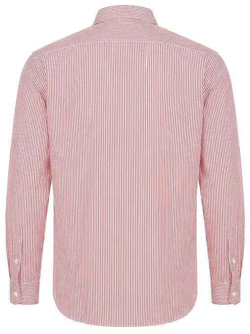 Рубашка Regular Fit хлопковая STEFANO RICCI