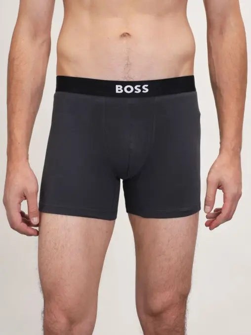 Боксеры BOSS