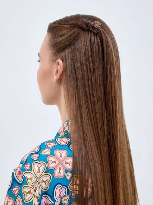 Заколка ETRO