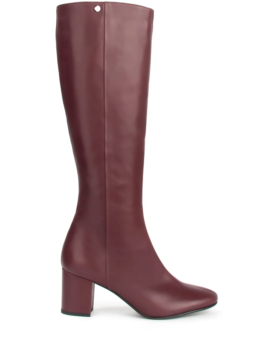 Сапоги ekonika. Сапоги alla pugacheva. Сапоги эконика en2538. Эконика сапоги женские. Эконика.