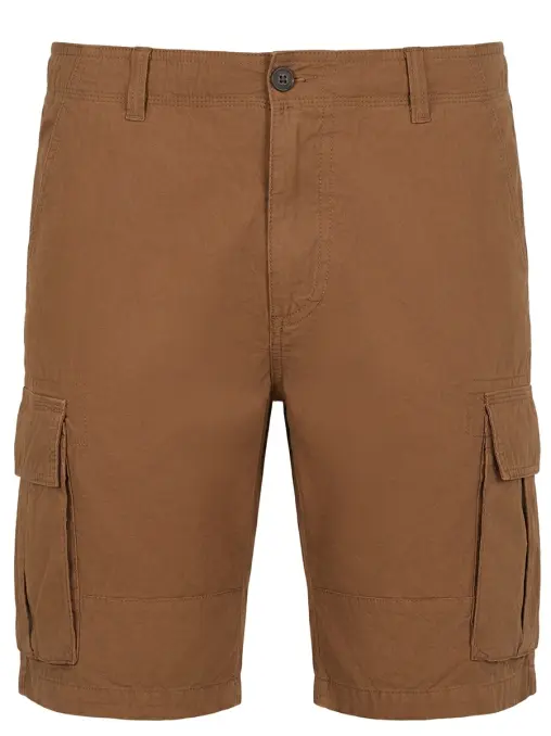 Шорты хлопковые ETRO